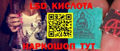 прущие грибы Краснознаменск