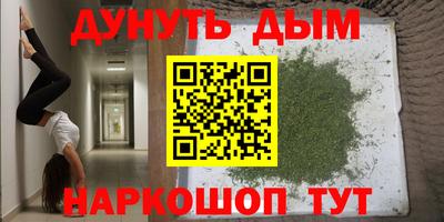 прущие грибы Краснознаменск