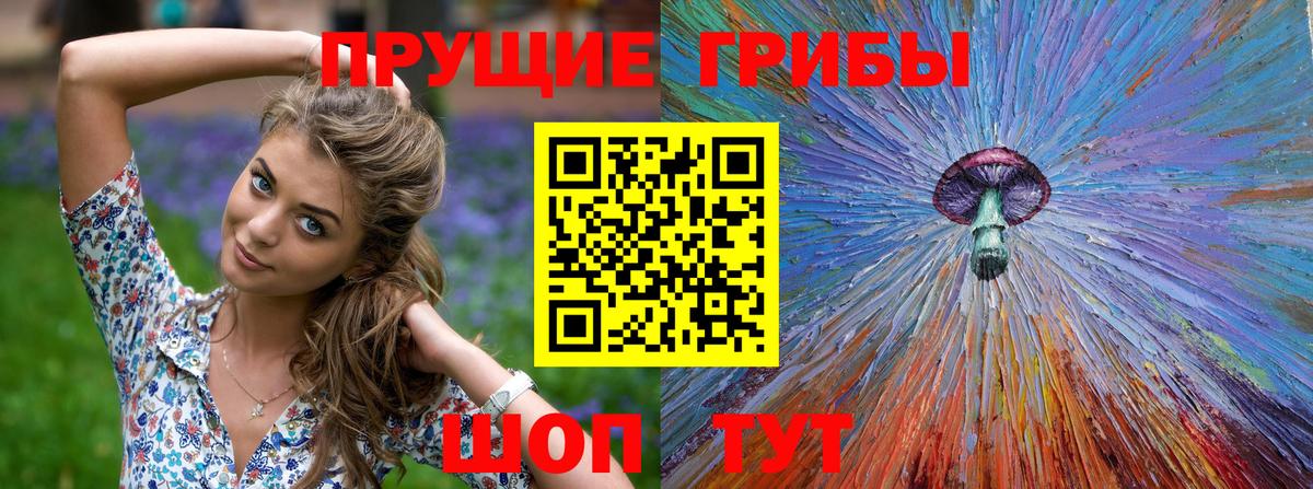 Псилоцибиновые грибы Cubensis  Вход с VPN  Великий Новгород  Псилоцибиновые грибы ЛСД 